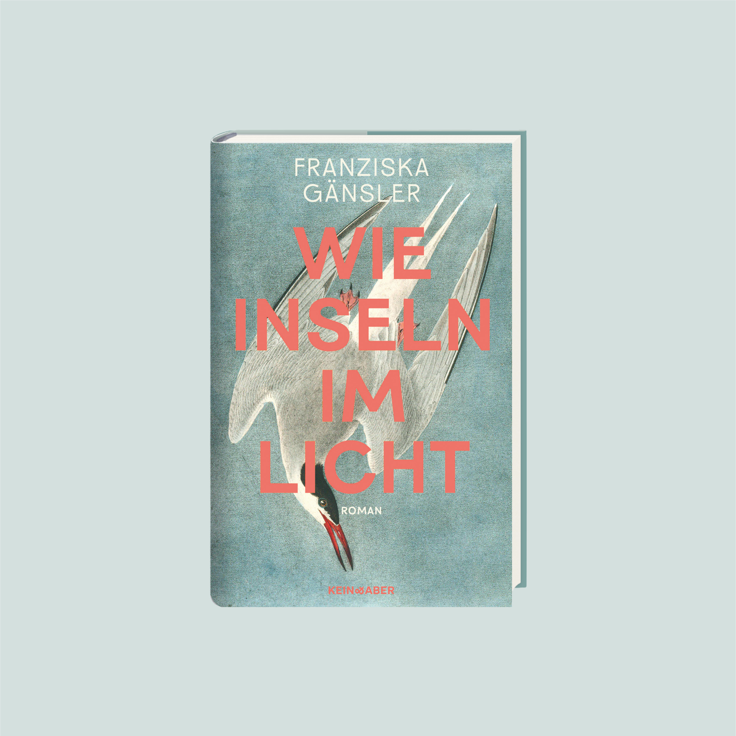 Ein Meisterwerk der atmosphärischen Spannung